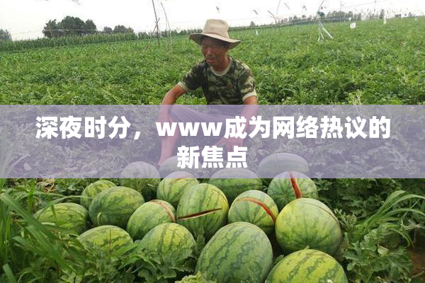 深夜时分，www成为网络热议的新焦点