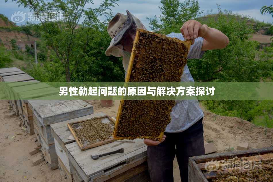 男性勃起问题的原因与解决方案探讨