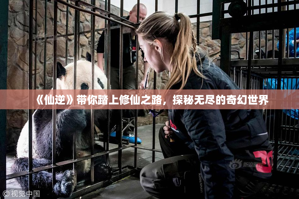 《仙逆》带你踏上修仙之路，探秘无尽的奇幻世界
