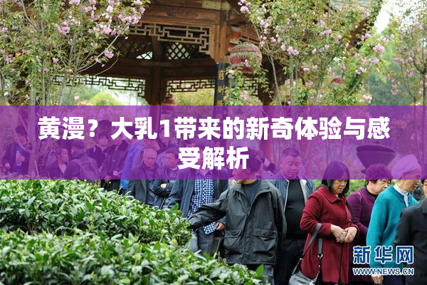 黄漫？大乳1带来的新奇体验与感受解析