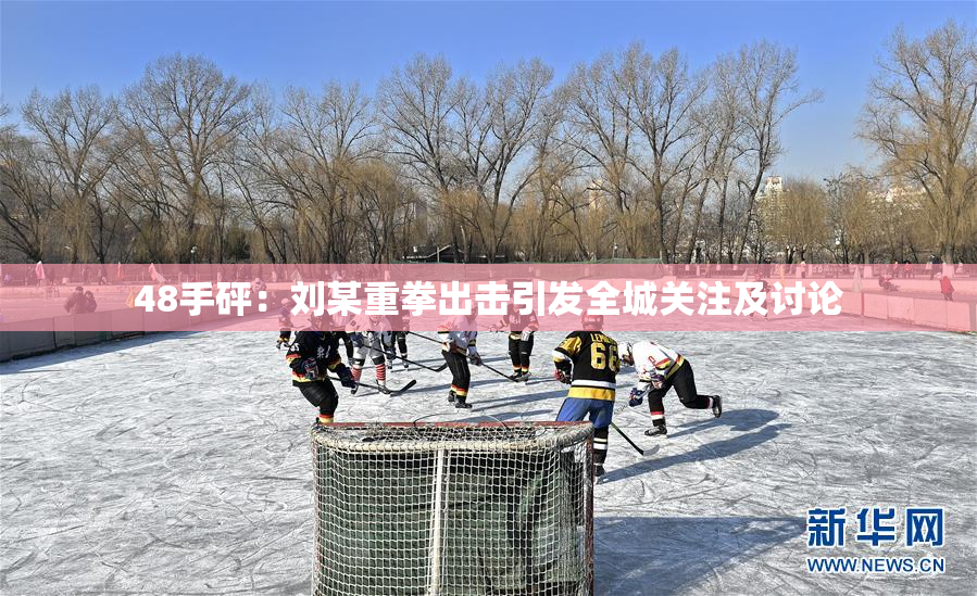 48手砰：刘某重拳出击引发全城关注及讨论