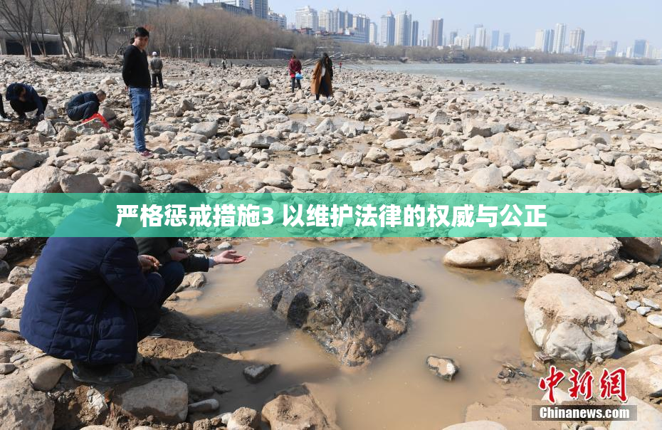 严格惩戒措施3 以维护法律的权威与公正