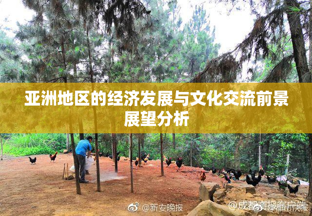 亚洲地区的经济发展与文化交流前景展望分析