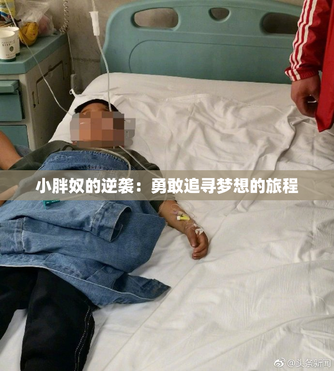小胖奴的逆袭：勇敢追寻梦想的旅程