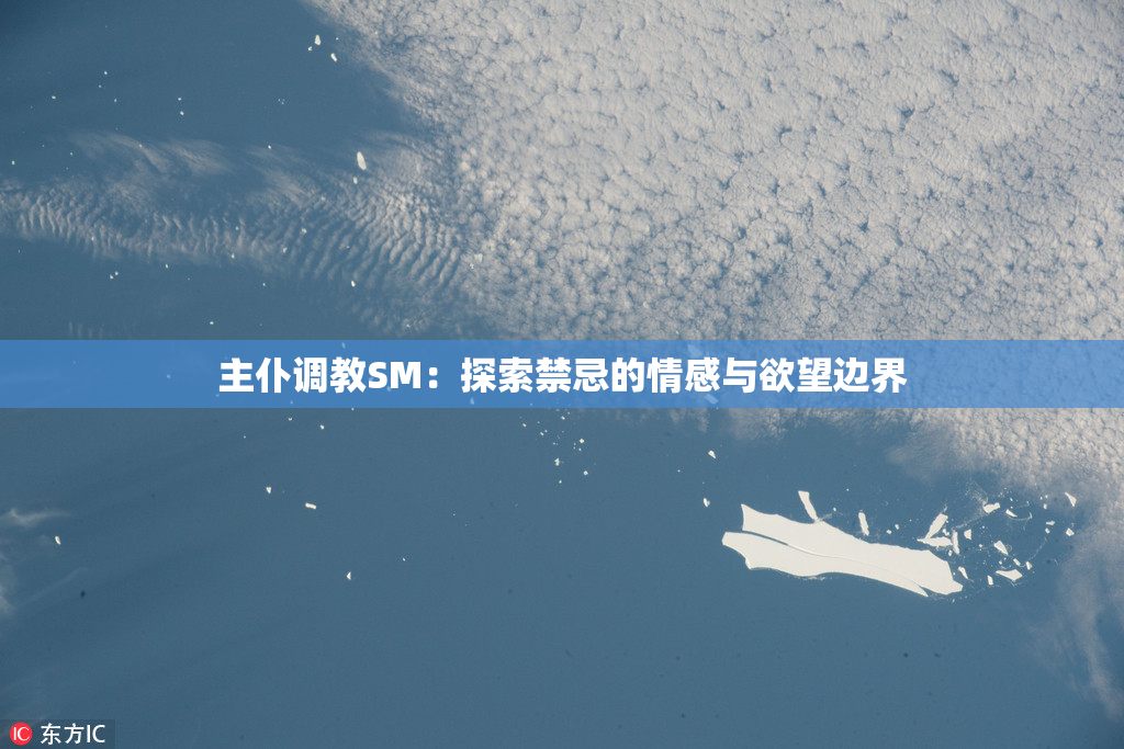 主仆调教SM：探索禁忌的情感与欲望边界