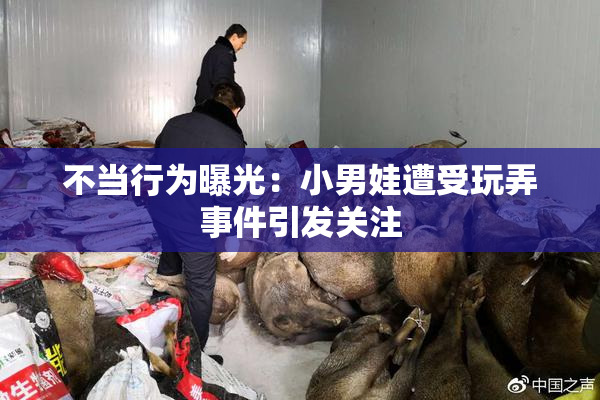 不当行为曝光：小男娃遭受玩弄事件引发关注