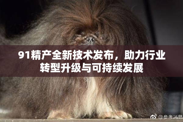 91精产全新技术发布，助力行业转型升级与可持续发展