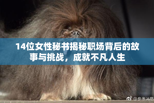 14位女性秘书揭秘职场背后的故事与挑战，成就不凡人生