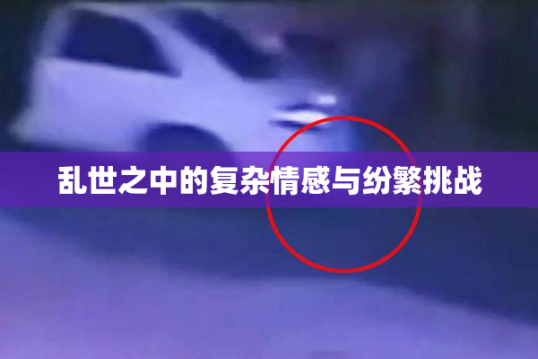 乱世之中的复杂情感与纷繁挑战