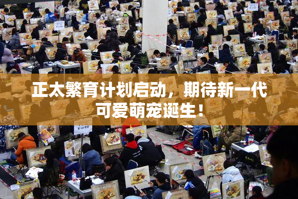 正太繁育计划启动，期待新一代可爱萌宠诞生！
