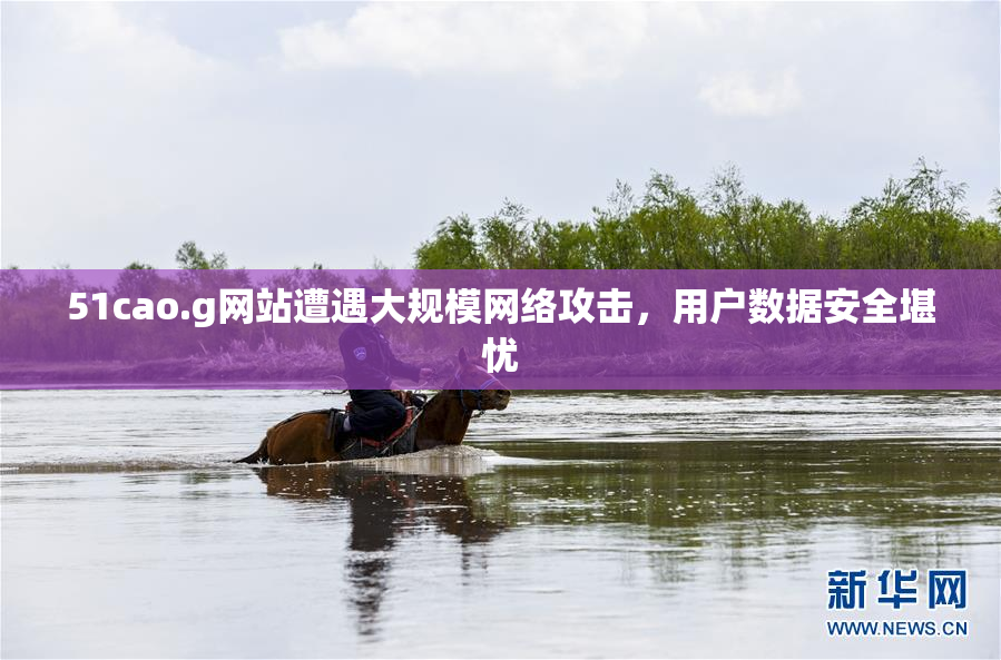 51cao.g网站遭遇大规模网络攻击，用户数据安全堪忧