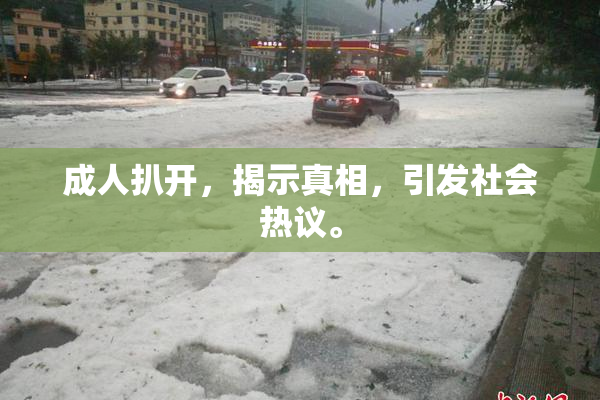 成人扒开，揭示真相，引发社会热议。