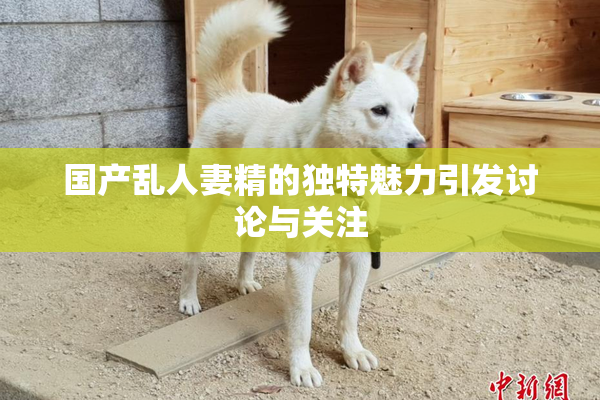 国产乱人妻精的独特魅力引发讨论与关注