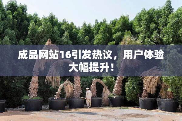 成品网站16引发热议，用户体验大幅提升！