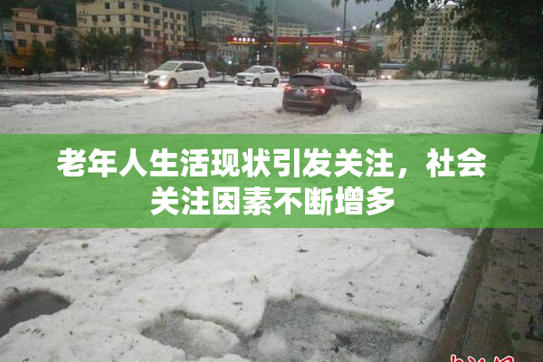 老年人生活现状引发关注，社会关注因素不断增多