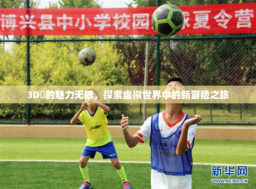 3D姉的魅力无限，探索虚拟世界中的新冒险之旅