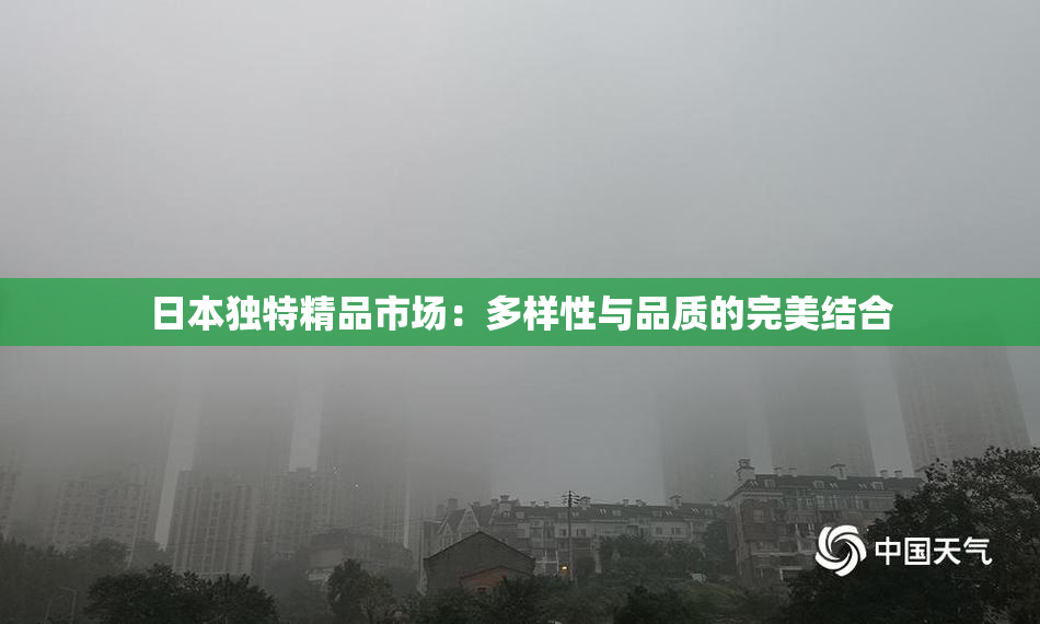 日本独特精品市场：多样性与品质的完美结合