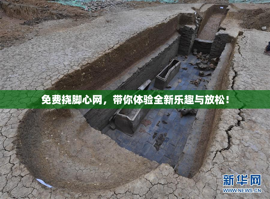 免费挠脚心网，带你体验全新乐趣与放松！
