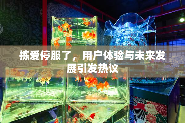 拣爱停服了，用户体验与未来发展引发热议