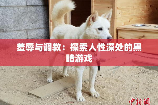 羞辱与调教：探索人性深处的黑暗游戏