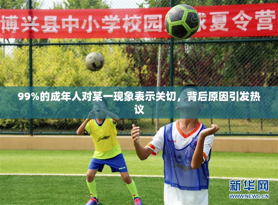 99%的成年人对某一现象表示关切，背后原因引发热议