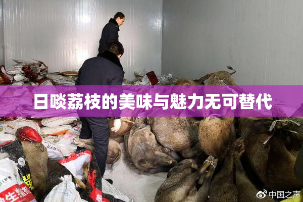 日啖荔枝的美味与魅力无可替代