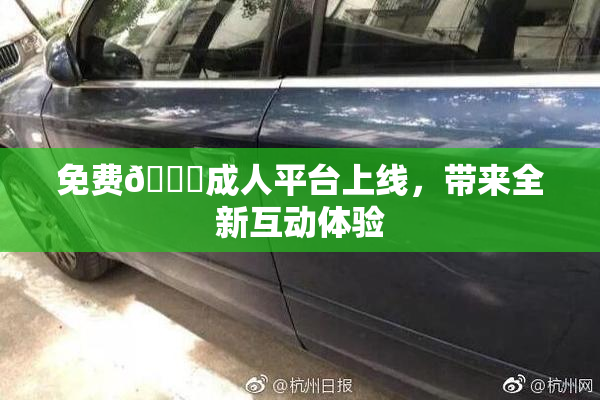 免费🔞成人平台上线，带来全新互动体验