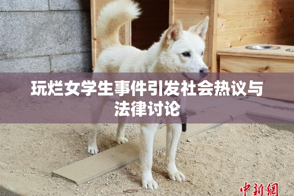 玩烂女学生事件引发社会热议与法律讨论