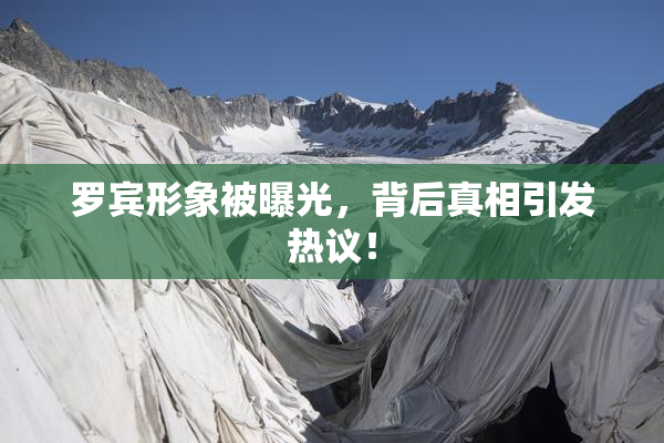 罗宾形象被曝光，背后真相引发热议！