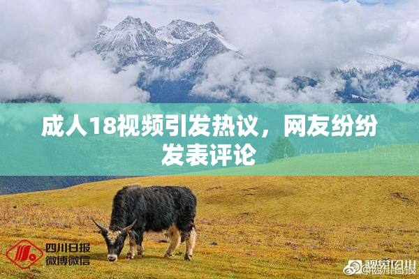 成人18视频引发热议，网友纷纷发表评论