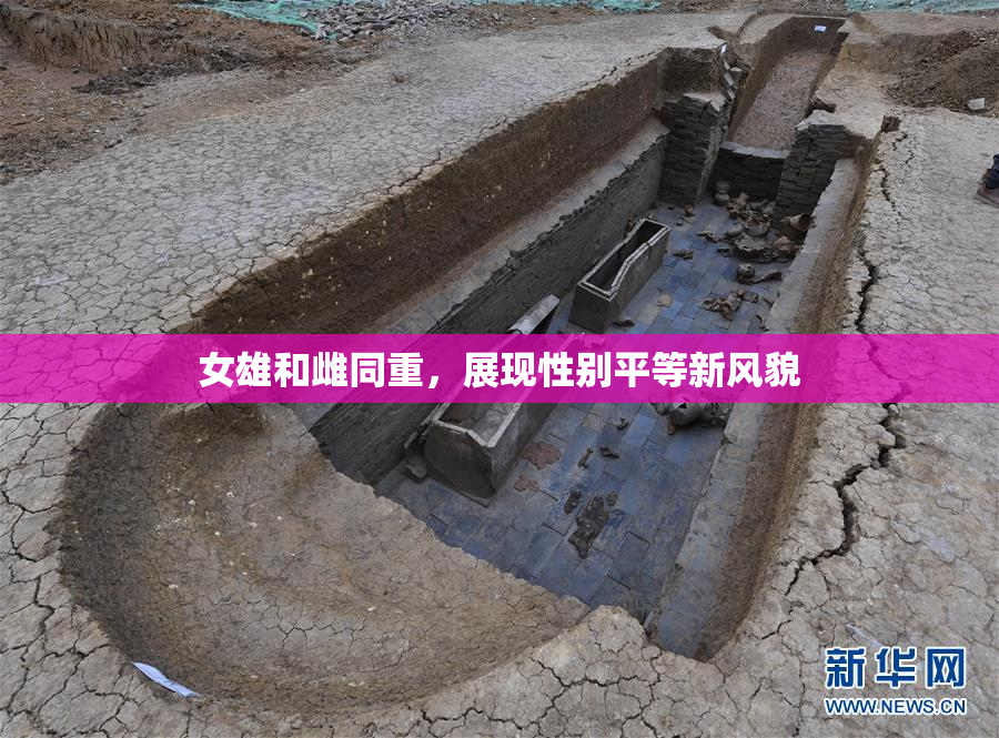 女雄和雌同重，展现性别平等新风貌