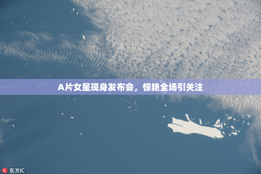 A片女星现身发布会，惊艳全场引关注