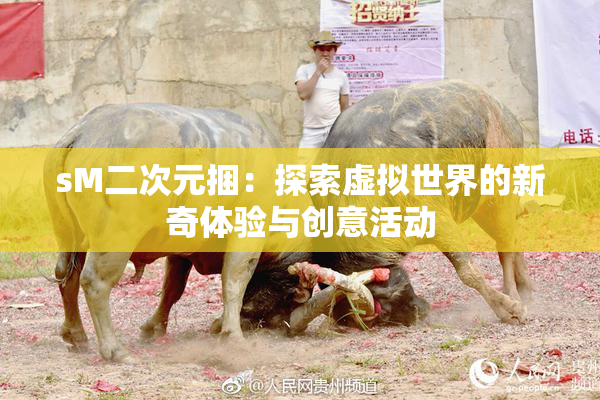 sM二次元捆：探索虚拟世界的新奇体验与创意活动