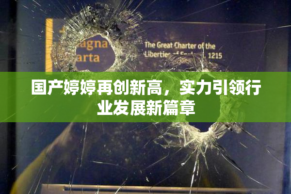国产婷婷再创新高，实力引领行业发展新篇章