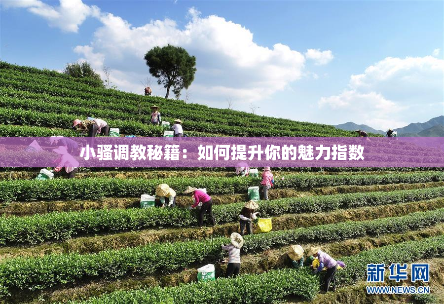 小骚调教秘籍：如何提升你的魅力指数