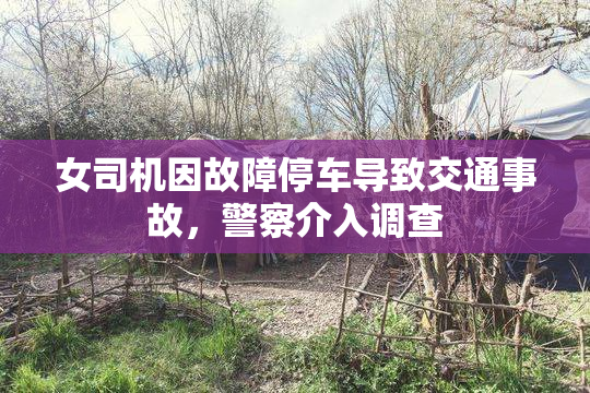 女司机因故障停车导致交通事故，警察介入调查