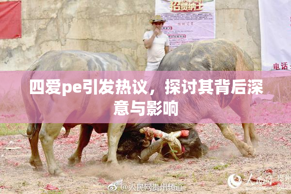 四爱pe引发热议，探讨其背后深意与影响