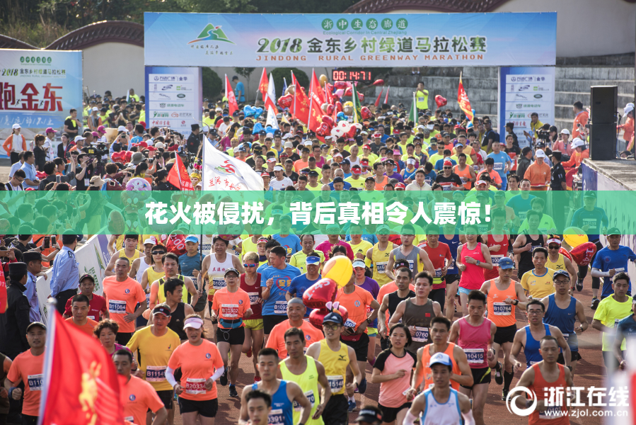 花火被侵扰，背后真相令人震惊！