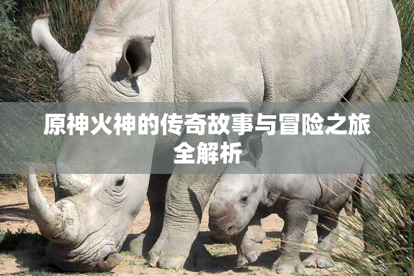 原神火神的传奇故事与冒险之旅全解析