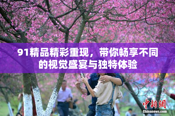 91精品精彩重现，带你畅享不同的视觉盛宴与独特体验