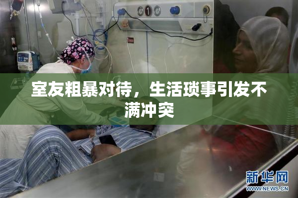 室友粗暴对待，生活琐事引发不满冲突