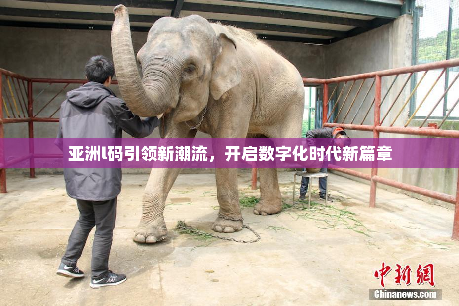 亚洲l码引领新潮流，开启数字化时代新篇章