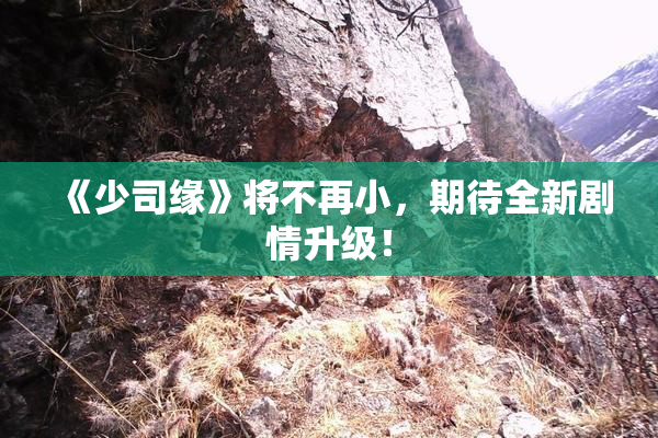 《少司缘》将不再小，期待全新剧情升级！