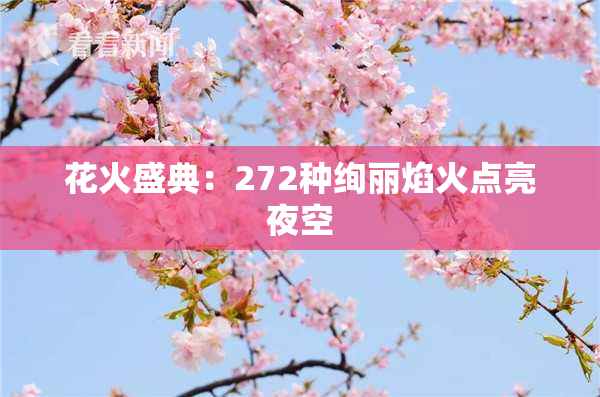 花火盛典：272种绚丽焰火点亮夜空