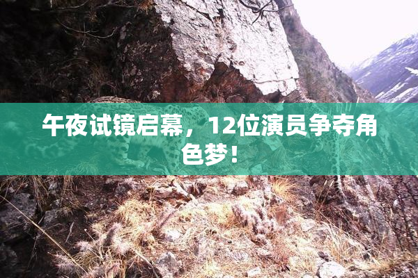 午夜试镜启幕，12位演员争夺角色梦！