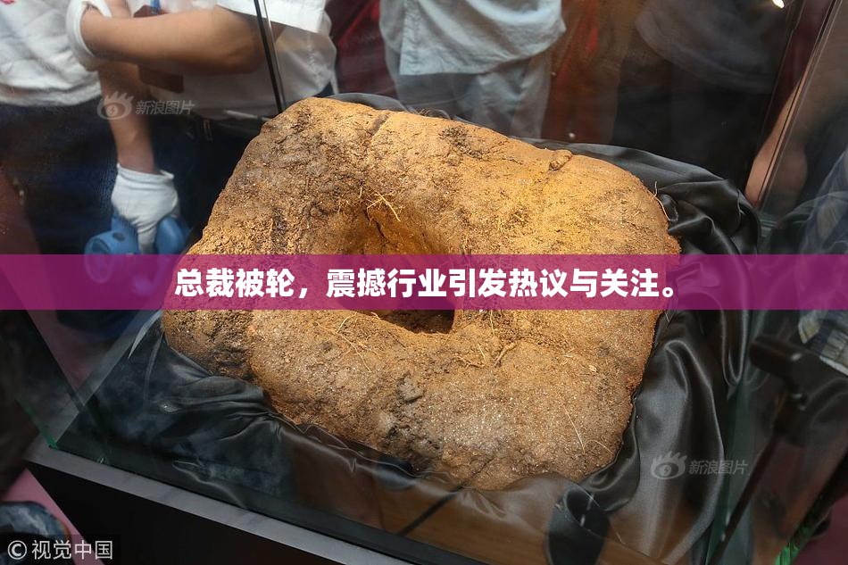 总裁被轮，震撼行业引发热议与关注。