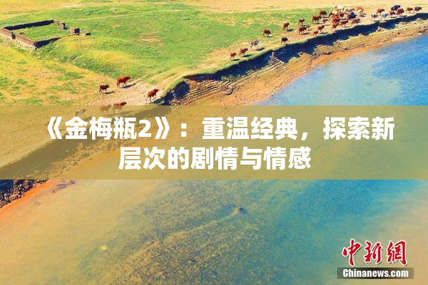 《金梅瓶2》：重温经典，探索新层次的剧情与情感