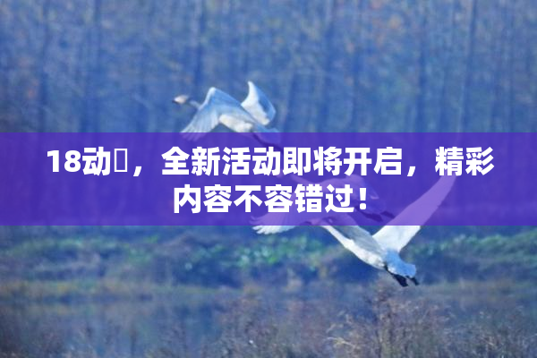 18动滿，全新活动即将开启，精彩内容不容错过！