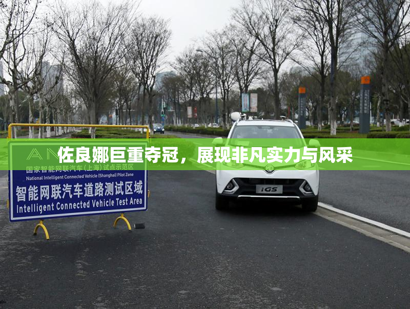 佐良娜巨重夺冠，展现非凡实力与风采