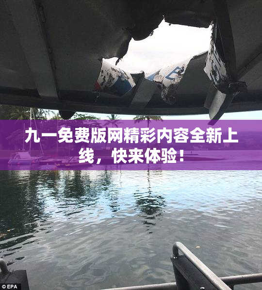 九一免费版网精彩内容全新上线，快来体验！